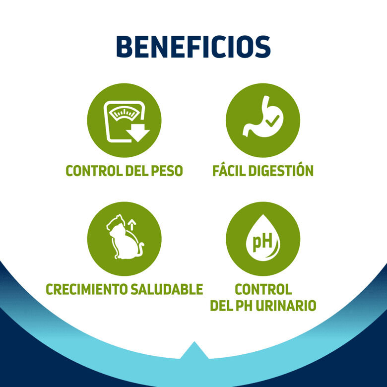 Advance Junior Sterilized pienso para gatos3 Imagem n&uacute;mero 4