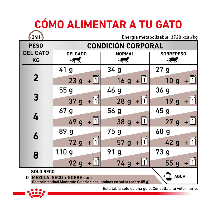 2 kg Royal Canin Veterinary Gastrointestinal Moderate Calorie ra&ccedil;&atilde;o para gatos, , large Imagem n&uacute;mero 7
