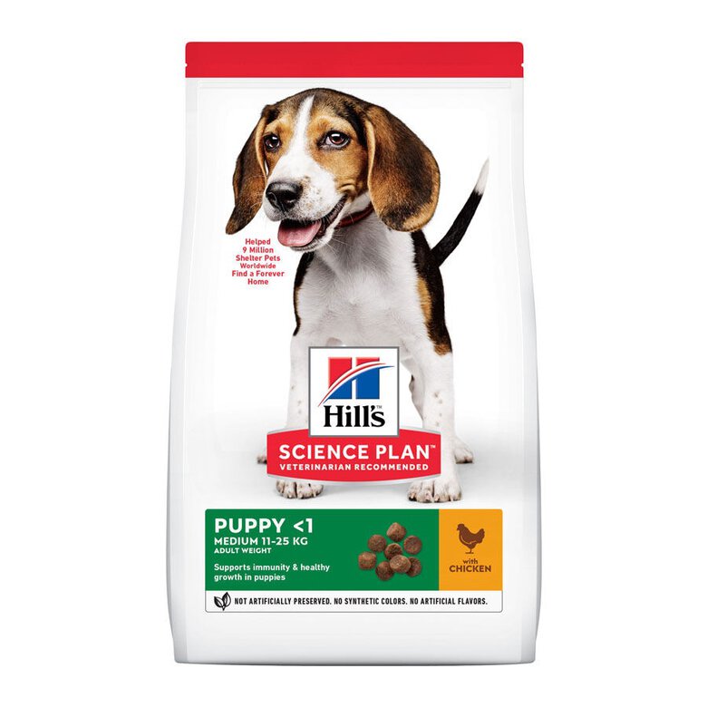18 kg Hill's Science Plan Puppy Medium Frango ração para cães,  Imagem número 2 18 kg Hill's Science Plan Puppy Medium Frango ração para cães, , large Imagem número 2