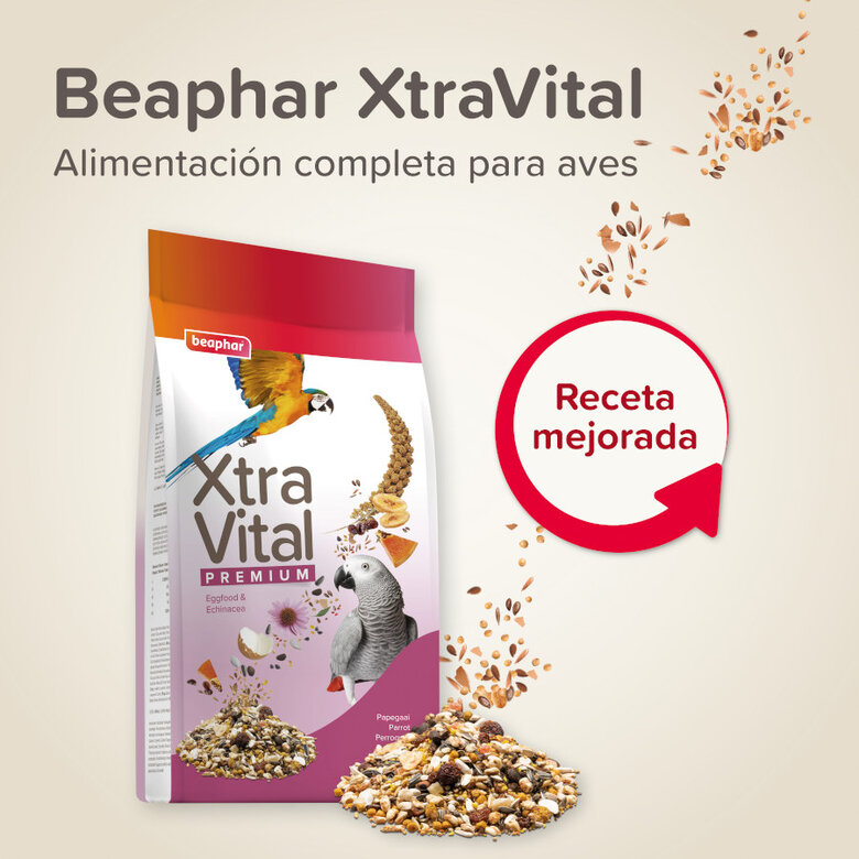 Comida para pássaros Beaphar XtraVital Premium para papagaios,  Imagem número 2 Comida para pássaros Beaphar XtraVital Premium para papagaios, , large Imagem número 2