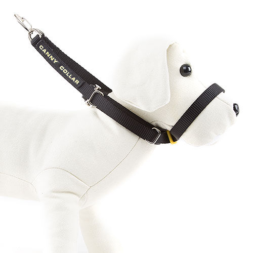Canny collar de manejo para perros rebeldes Imagem n&uacute;mero 1