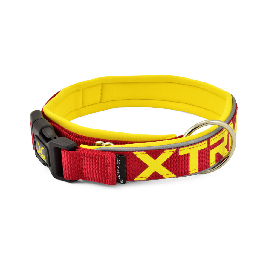 X-TRM Ne&oacute;n Flash Coleira Vermelho e Amarelo para c&atilde;es, , large Imagem n&uacute;mero 1