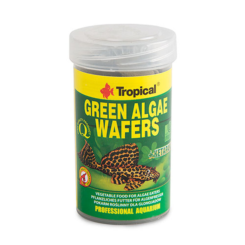 alimentacion_peces_Tropical_Green_Algae_espirulina_para_peces_TRL10363261_M Imagem número 1 Tropical Green Algae espirulina para peces Imagem número 1