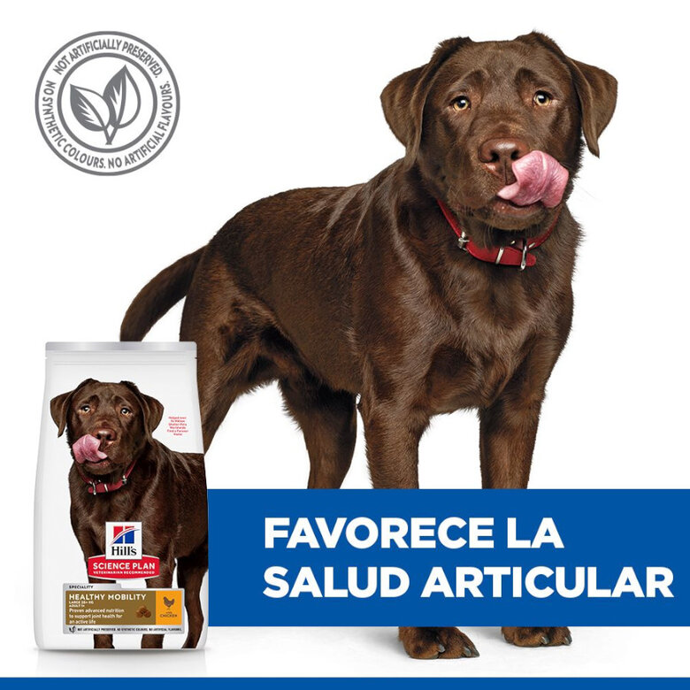 12 kg Hill's Science Plan Healthy Mobility Adult Large Frango ração para cães,  Imagem número 5 12 kg Hill's Science Plan Healthy Mobility Adult Large Frango ração para cães, , large Imagem número 5
