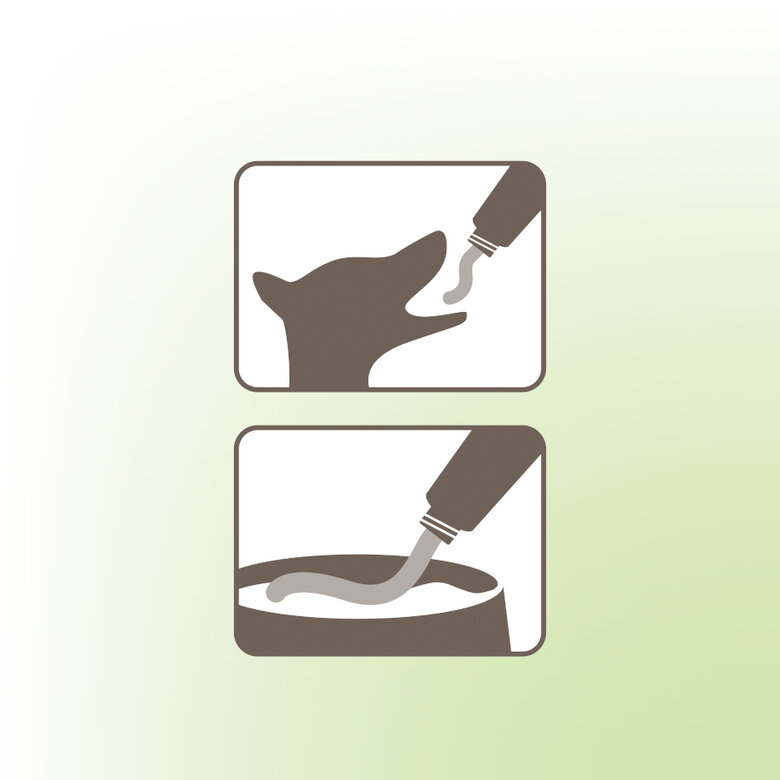 125 g Beaphar Vermipure Desparasitante em pasta para cães,  Imagem número 5 125 g Beaphar Vermipure Desparasitante em pasta para cães, , large Imagem número 5