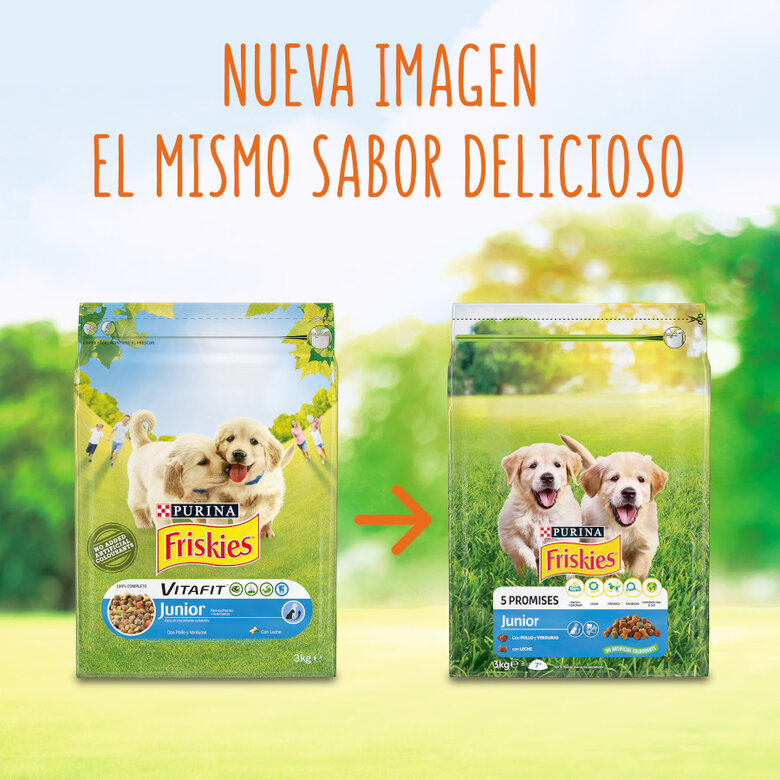 Friskies Junior frango e legumes ração cachorros,  Imagem número 3 Friskies Junior frango e legumes ração cachorros, , large Imagem número 3