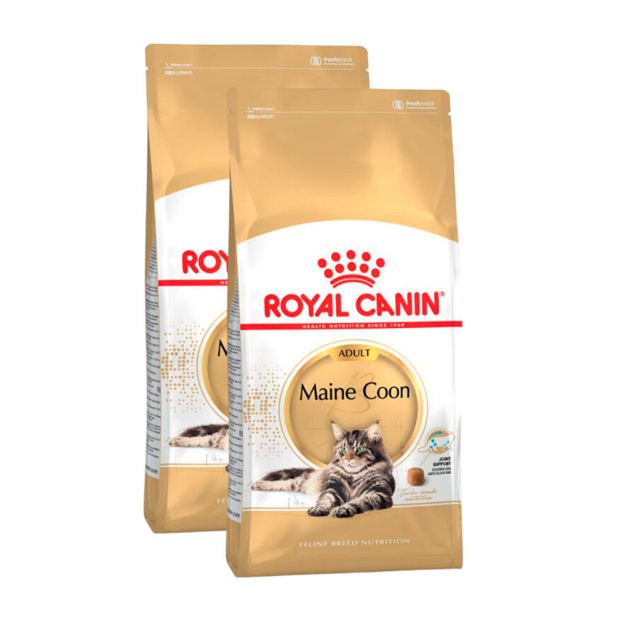 2 x 10 kg Royal Canin Adult Maine Coon ra&ccedil;&atilde;o para gatos Pack poupan&ccedil;a!, , large Imagem n&uacute;mero 1