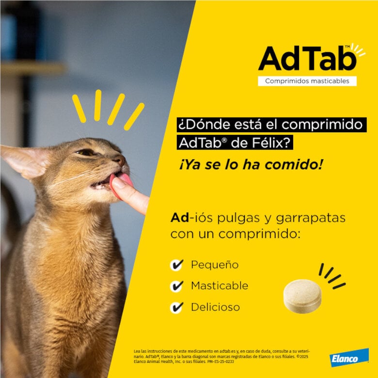 AdTab Comprimidos mastigáveis antiparasitários para gatos,  Imagem número 5 AdTab Comprimidos mastigáveis antiparasitários para gatos, , large Imagem número 5