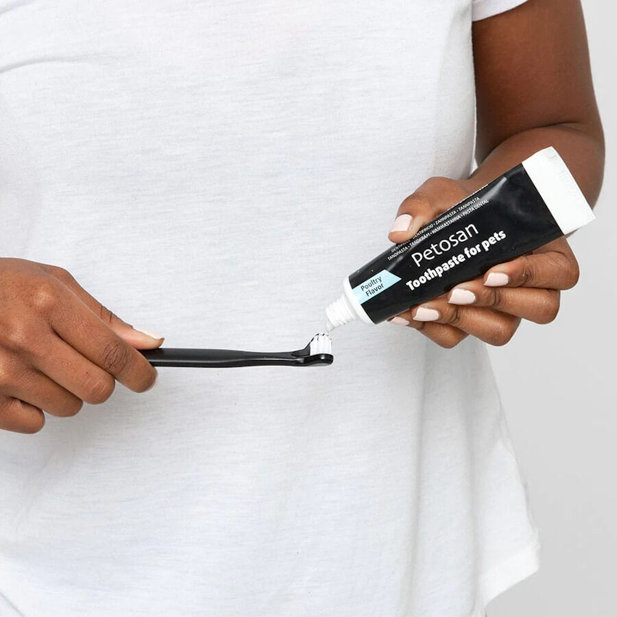 Petosan Kit de limpeza dent&aacute;ria para c&atilde;es m&eacute;dios, , large Imagem n&uacute;mero 6