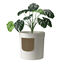 Caixa de areia para gatos Nova Clean Planter, , large Indicador imagem número 1