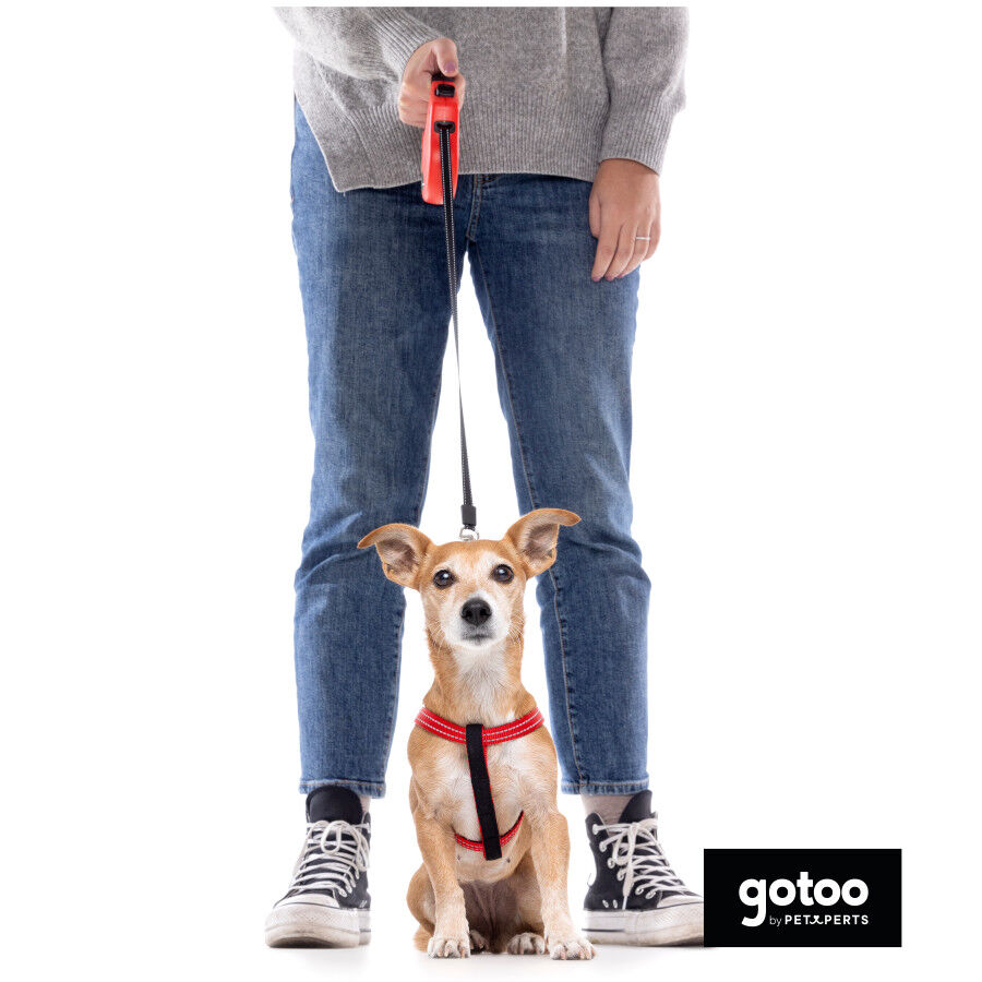 Trela extens&iacute;vel Gotoo vermelha para c&atilde;es, , large Imagem n&uacute;mero 3