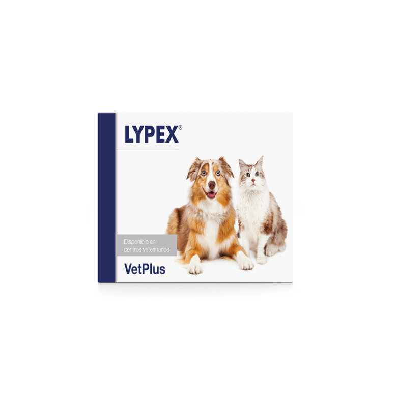 VetPlus Lypex Suplemento em Comprimidos para cães,  Imagem número 1 VetPlus Lypex Suplemento em Comprimidos para cães, , large Imagem número 1