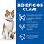 85 g Hill's Young Adult Science Plan Sterilised Truta Saqueta em Molho para gatos, , large Indicador imagem número 3