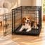 Outech Jaula de Metal para c&atilde;es, , large Indicador imagem n&uacute;mero 1