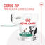 230 g Royal Canin Treats Satiety Snacks para cães, , large Indicador imagem número 4