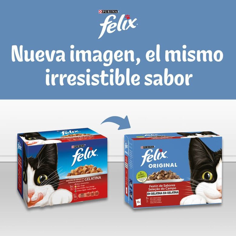 12 x 85 g Felix Sensations Seleção de Carnes Alimento húmido em saquetas para gatos,  Imagem número 6 12 x 85 g Felix Sensations Seleção de Carnes Alimento húmido em saquetas para gatos, , large Imagem número 6