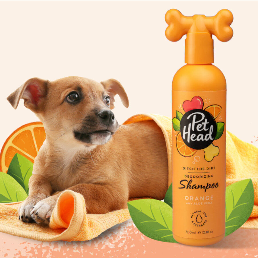 Pet Head Shampoo laranja para c&atilde;es 300ml, , large Imagem n&uacute;mero 2