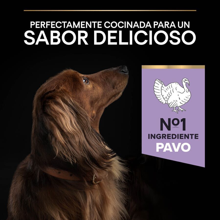 2.5 kg Pro Plan Adult Small y Mini Digesti&oacute;n Peru  ra&ccedil;&atilde;o para c&atilde;es, , large Imagem n&uacute;mero 7