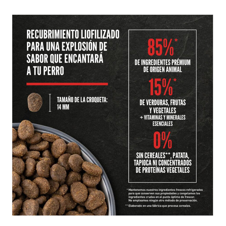 11.4 kg Orijen Adult Original ração para cães,  Imagem número 6 11.4 kg Orijen Adult Original ração para cães, , large Imagem número 6
