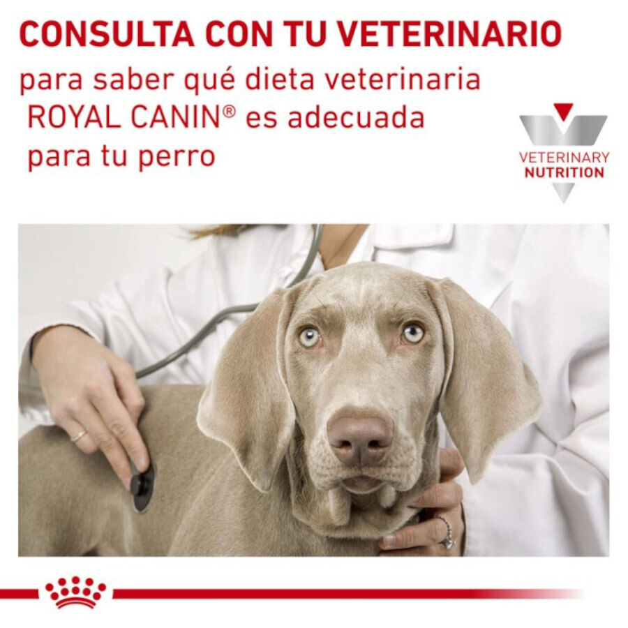 410 g Royal Canin Veterinary Sensitivity Control Mousse de Galinha e Arroz lata para c&atilde;es, , large Imagem n&uacute;mero 3