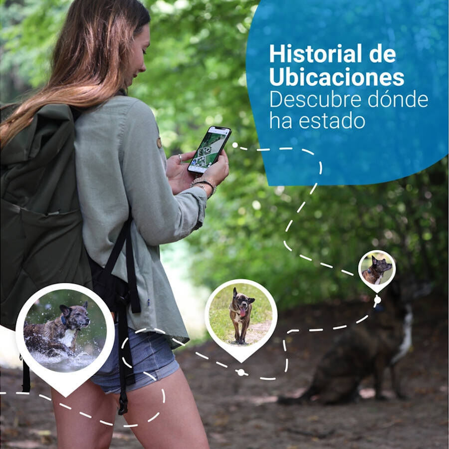 Tractive Localizador GPS para c&atilde;es, , large Imagem n&uacute;mero 5