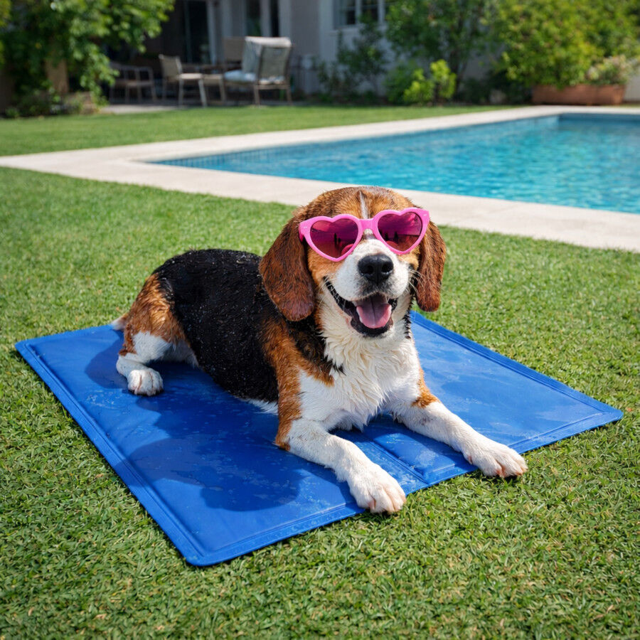 Summer Vibes Manta Refrescante Azul para c&atilde;es, , large Imagem n&uacute;mero 1