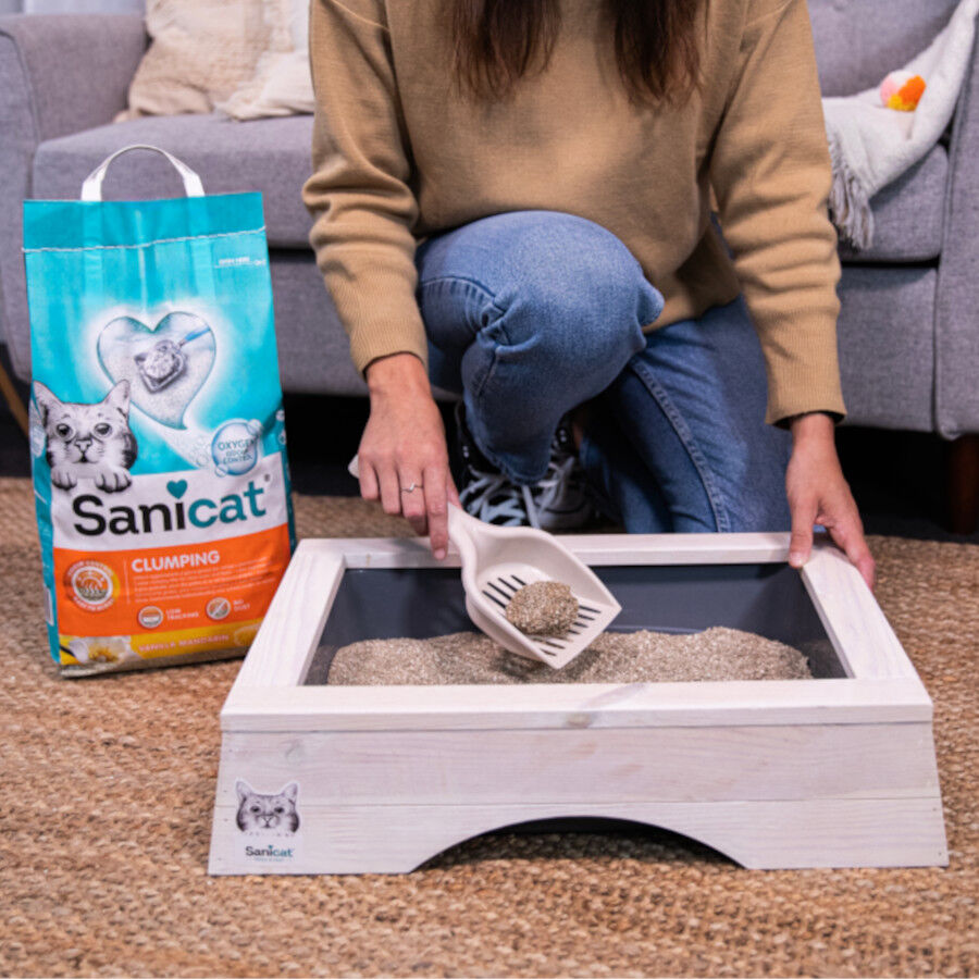 8 L Sanicat Areia Aglomerante Baunilha e Tangerina para gatos, , large Imagem n&uacute;mero 5