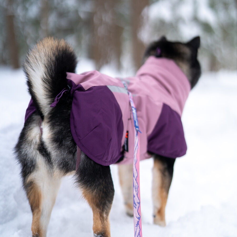 Non-stop Dogwear Glacier Casaco Imperme&aacute;vel Malva para c&atilde;es, , large Imagem n&uacute;mero 3