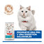 7 kg Hill's Science Plan Adult Hypoallergenic Ovo e Insetos ra&ccedil;&atilde;o para gatos , , large Indicador imagem n&uacute;mero 4
