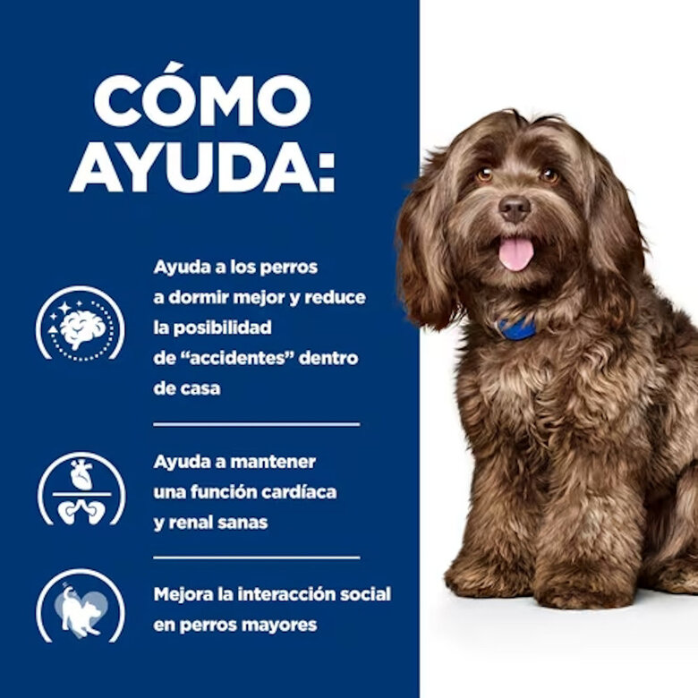 12 kg Hill's Prescription Diet Ageing and Alertness Care b/d Ração para cães com frango,  Imagem número 4 12 kg Hill's Prescription Diet Ageing and Alertness Care b/d Ração para cães com frango, , large Imagem número 4