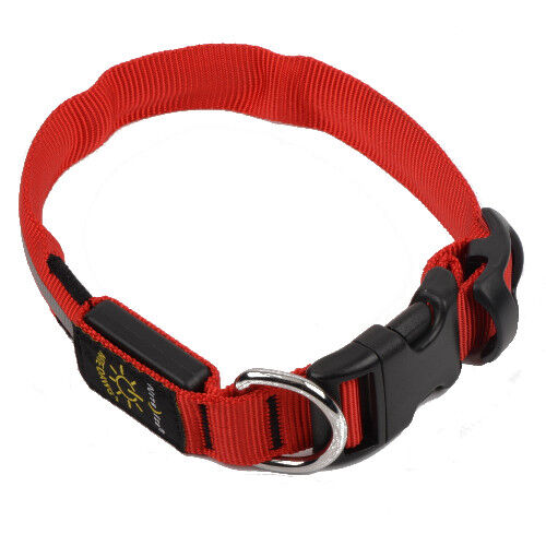 Nite Ize NiteDawg collar led rojo para perros Imagem n&uacute;mero 1