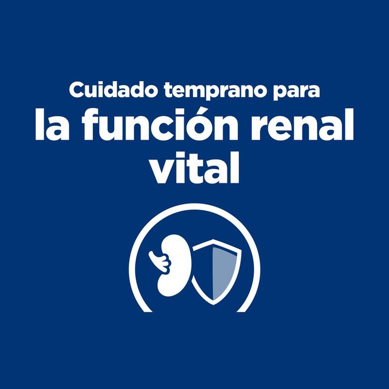 12 kg Hill's Prescription Diet Kidney Care k/d early stage Ração para cães,  Imagem número 5 12 kg Hill's Prescription Diet Kidney Care k/d early stage Ração para cães, , large Imagem número 5