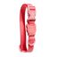 Zeedog Neopro Bubblegum Coleira Rosa para cães, , large Indicador imagem número 1