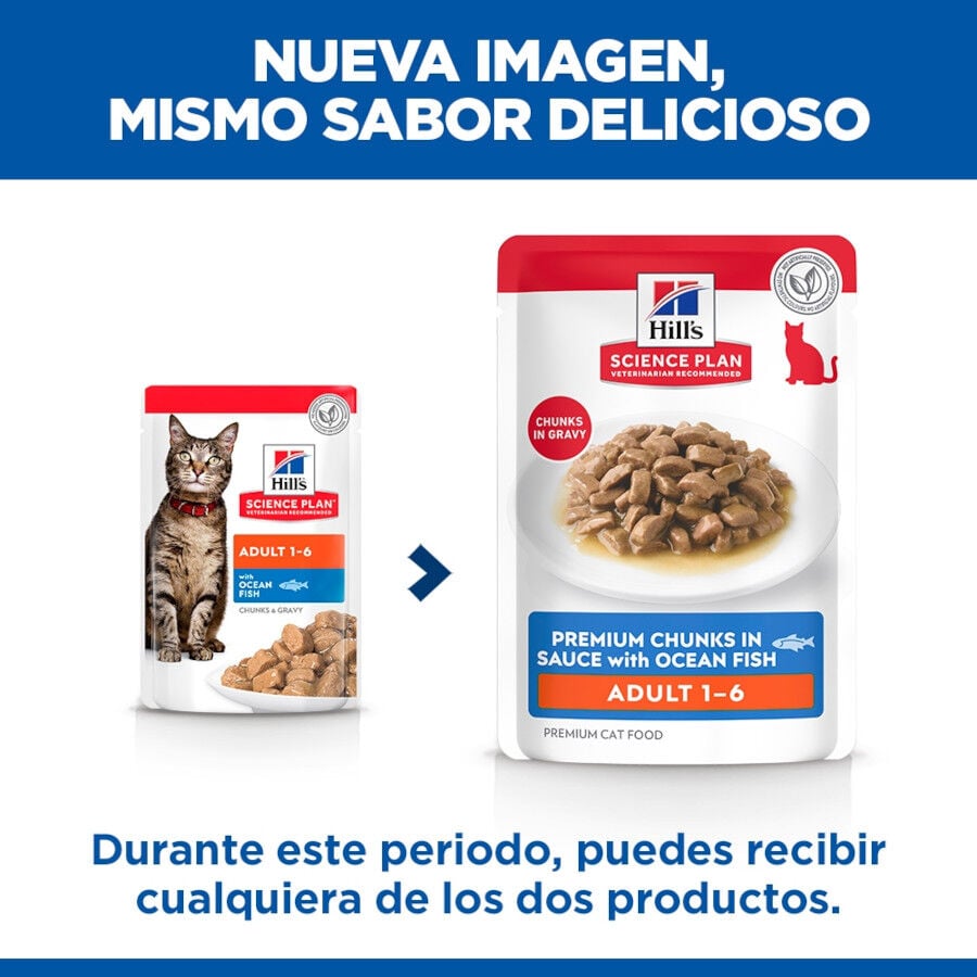 85 g Hill's Science Plan Adult Peixe saqueta para gatos, , large Imagem n&uacute;mero 2