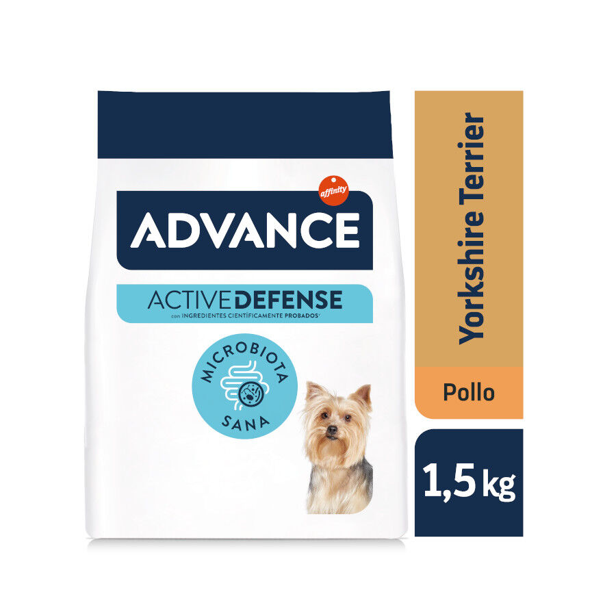1.5 kg Advance Active Defense Yorkshire Terrier Adult Frango e Arroz ra&ccedil;&atilde;o para c&atilde;es, , large Imagem n&uacute;mero 2
