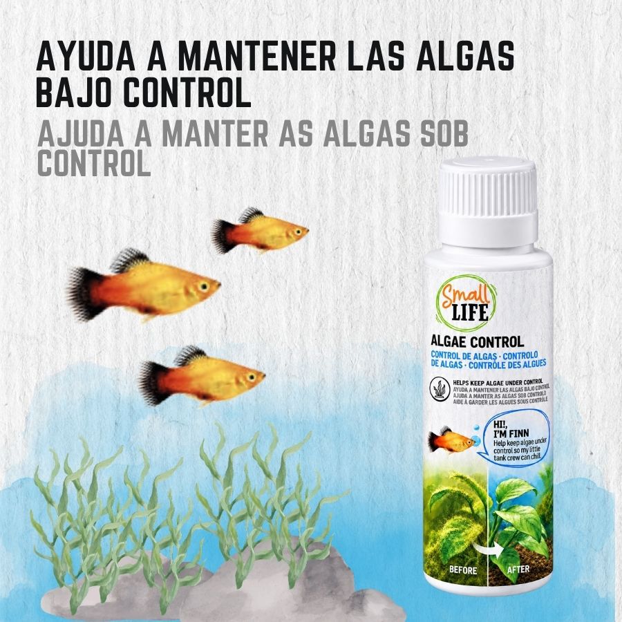 Small Life Algae Control para aqu&aacute;rios, , large Imagem n&uacute;mero 2