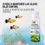 Small Life Algae Control para aqu&aacute;rios, , large Indicador imagem n&uacute;mero 2