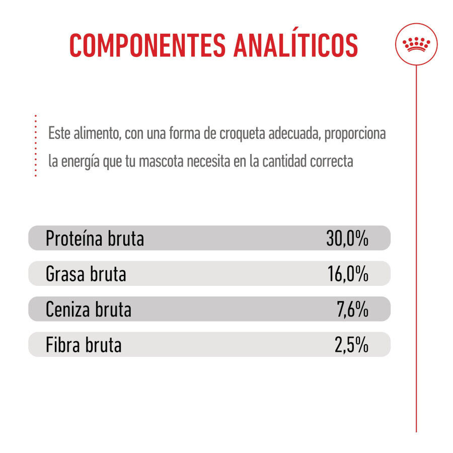 15 kg Royal Canin Puppy Maxi ra&ccedil;&atilde;o para c&atilde;es, , large Imagem n&uacute;mero 6