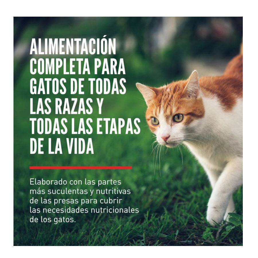 5.4 kg Orijen Regional Red ra&ccedil;&atilde;o para gatos, , large Imagem n&uacute;mero 2