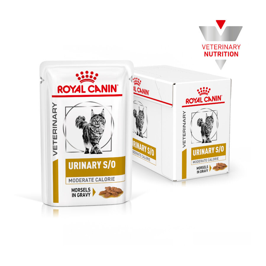 12 saquetas x 85 g Royal Canin Veterinary Urinary Moderate Calorie ra&ccedil;&atilde;o para gatos, , large Imagem n&uacute;mero 2