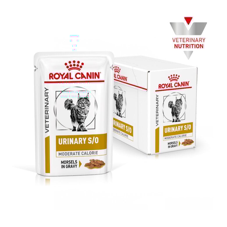 24 saquetas x 85 g Royal Canin Veterinary Urinary Moderate Calorie ração para gatos Pack poupança!,  Imagem número 2 24 saquetas x 85 g Royal Canin Veterinary Urinary Moderate Calorie ração para gatos Pack poupança!, , large Imagem número 2