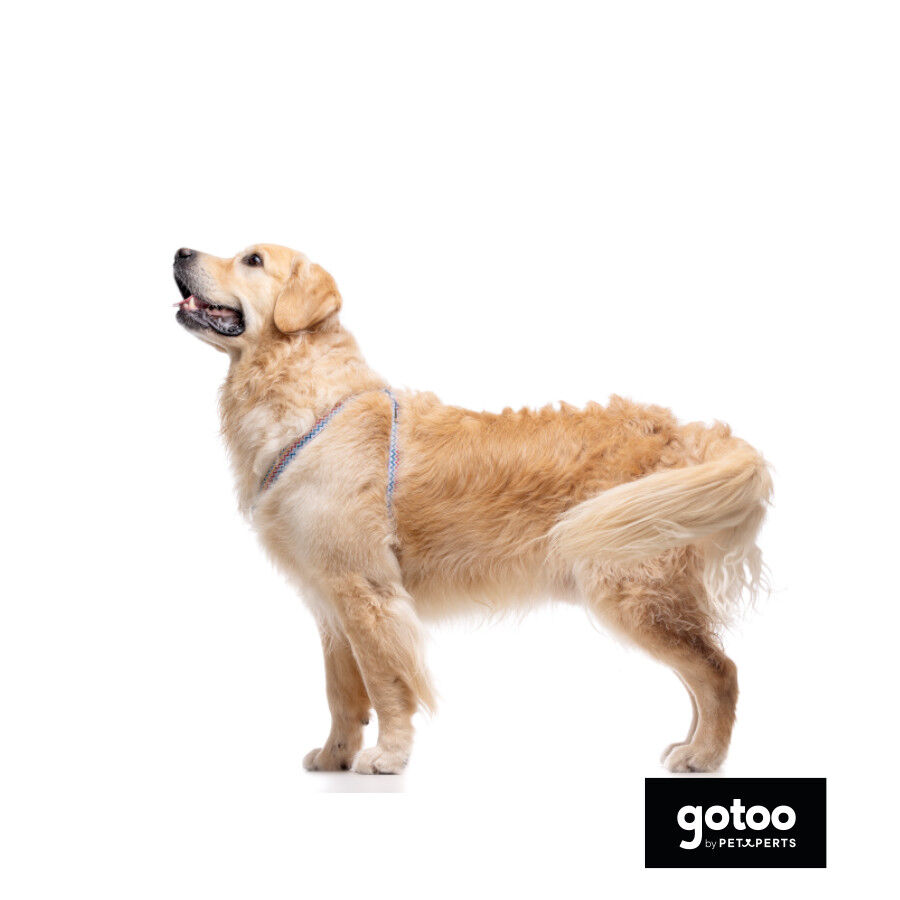 Gotoo Peitoral riscas zig- zag para c&atilde;es, , large Imagem n&uacute;mero 4