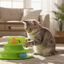 Tootoy! Interactive & Stimulate Brinquedo torre interativa para gatos, , large Indicador imagem n&uacute;mero 1
