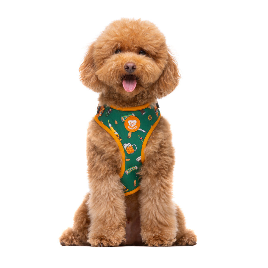 Dukier Beer Peitoral ajust&aacute;vel para c&atilde;es , , large Imagem n&uacute;mero 2