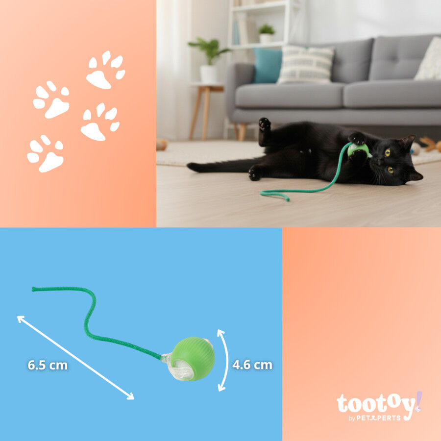 Tootoy! Chase & Play Bola interativa para gatos, , large Imagem n&uacute;mero 4