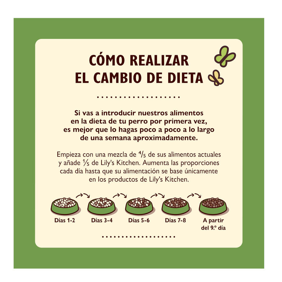 12 kg Lily's Kitchen Adult Cordeiro ra&ccedil;&atilde;o para c&atilde;es, , large Imagem n&uacute;mero 5