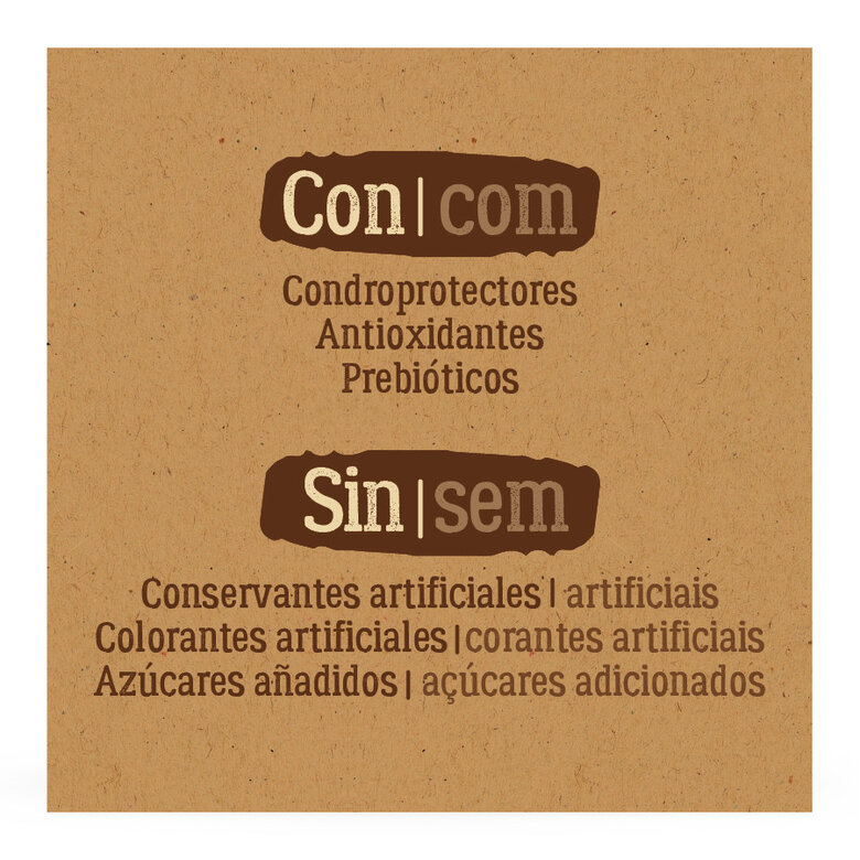 2 kg True Origins Pure Kitten Poultry Frango ração para gatos,  Imagem número 4 2 kg True Origins Pure Kitten Poultry Frango ração para gatos, , large Imagem número 4