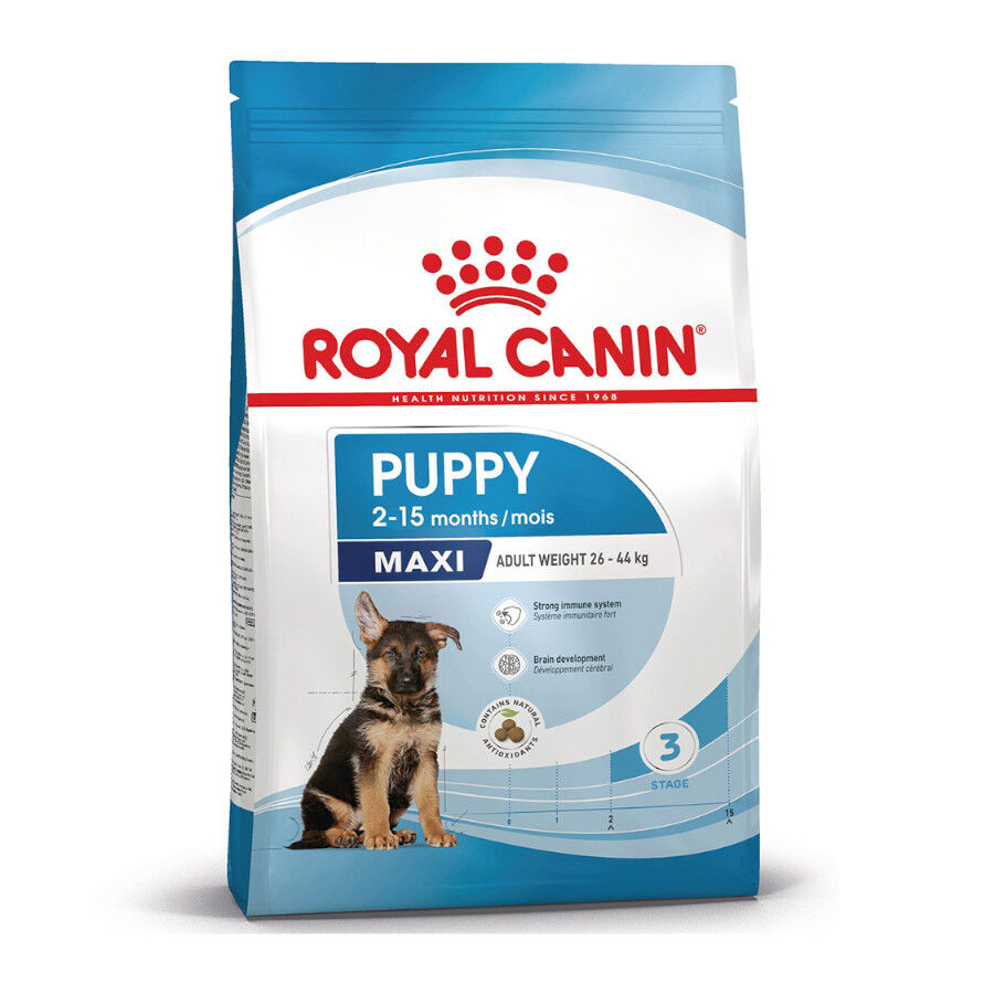 15 kg Royal Canin Puppy Maxi ra&ccedil;&atilde;o para c&atilde;es, , large Imagem n&uacute;mero 2