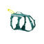 Non-stop Dogwear Peitoral Longo Azul e Verde para c&atilde;es, , large Indicador imagem n&uacute;mero 1