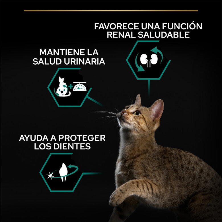 12 kg (10 + 2 kg grátis!) Pro Plan Adult Sterilized Peru ração para gatos,  Imagem número 2 12 kg (10 + 2 kg grátis!) Pro Plan Adult Sterilized Peru ração para gatos, , large Imagem número 2
